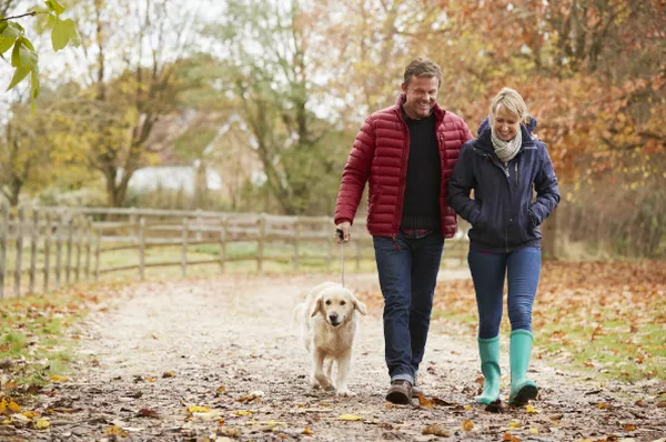 The Top 5 Things Your Relationship Needs Year-Round, Not Just on Valentine’s Day!